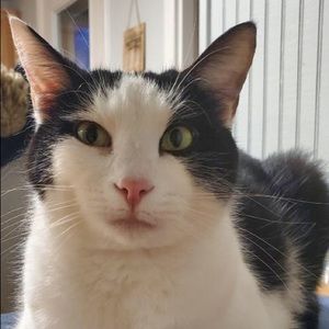 Meet your Posher, Lena